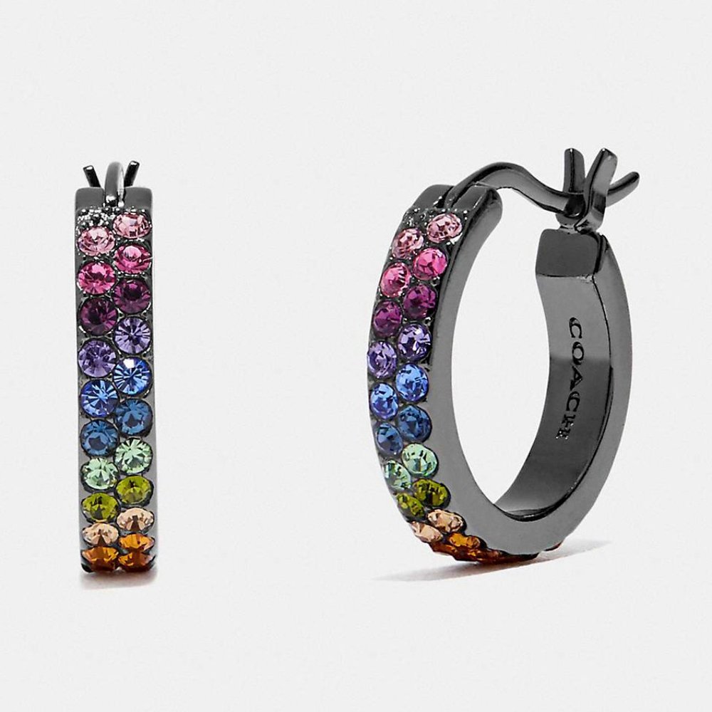 COACH Huggie Hoop Earrings